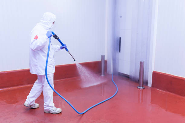 Best House Exterior Washing  in Monticello, MS